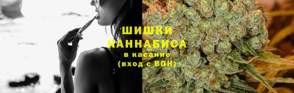 эйфоретик Покачи