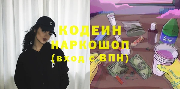 гашик Пересвет