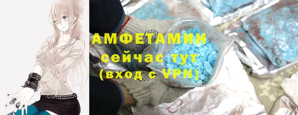 гашик Пересвет