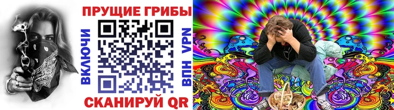 Псилоцибиновые грибы мухоморы  где купить наркотик  Бахчисарай 