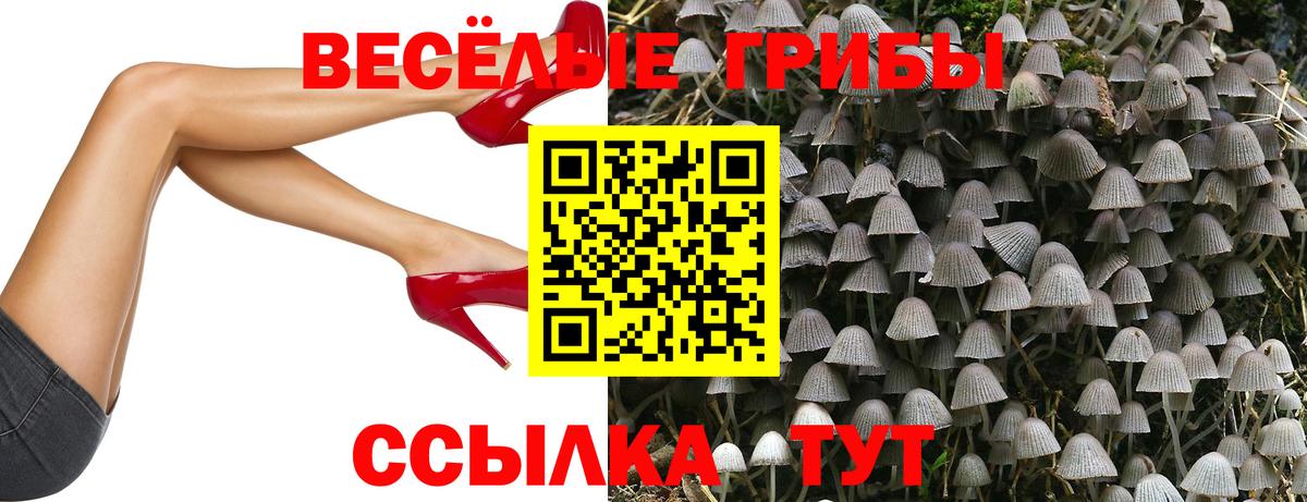 Бахчисарай  Псилоцибиновые грибы Magic Shrooms  Вход с VPN 